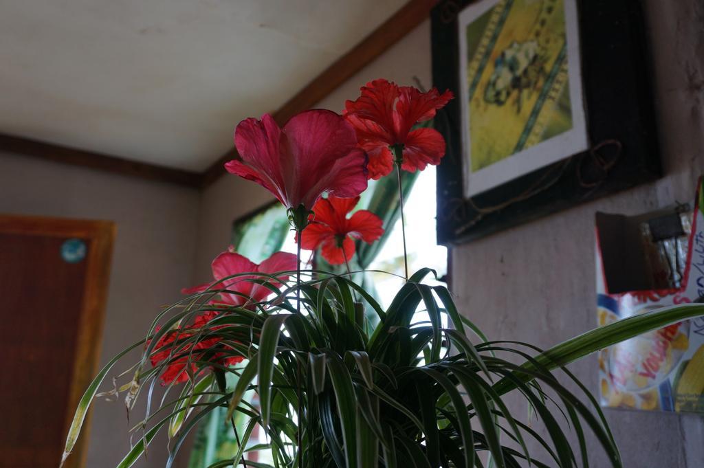 Naqalia Lodge Wayasewa Island Ngoại thất bức ảnh
